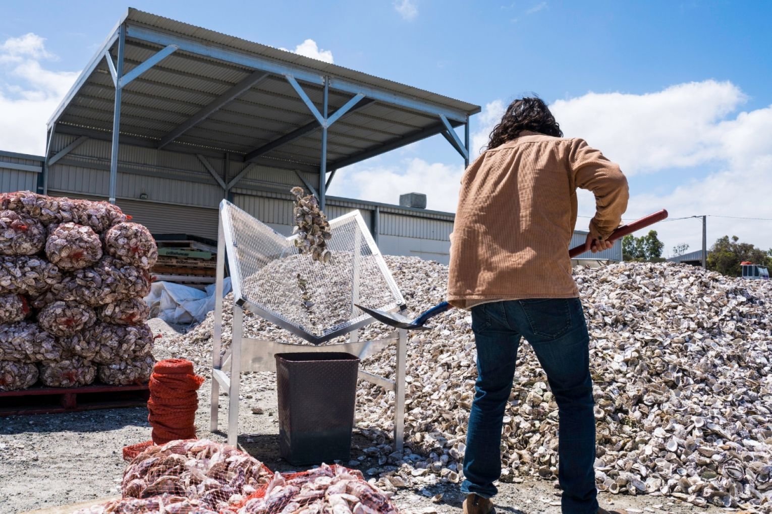 Manny Katz processing shell through a sieve to remove grit or sand before bagging. Photo: Supplied