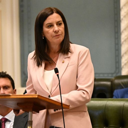 Thumbnail for ‘First step in fixing broken system’: State Govt announces Child Safety Inquiry response