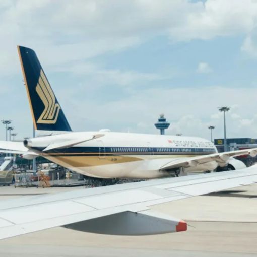 Thumbnail for Urgent disease warning after international flight