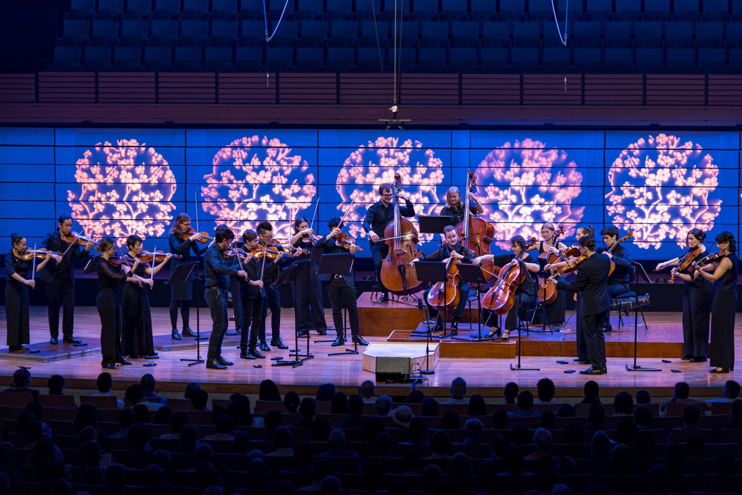 Old. New. Borrowed. Blue. by Anthony Romaniuk and Camerata Queensland's Chamber Orchestra