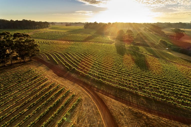 Thumbnail for EXHILARATING Wines From Western Australia