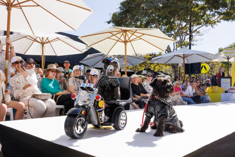 Thumbnail for Sit, stay, slay: Gold Coast’s Next Top Dogel steps up for 2026