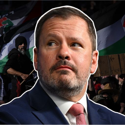 Thumbnail for Outspoken Labor MP recovering after crash