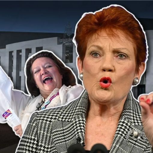 Thumbnail for One Nation in hot water with Queensland watchdog