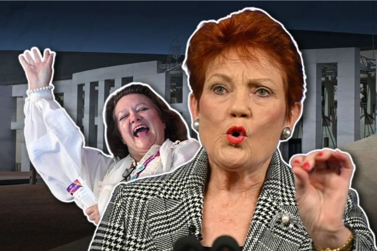 Thumbnail for One Nation in hot water with Queensland watchdog