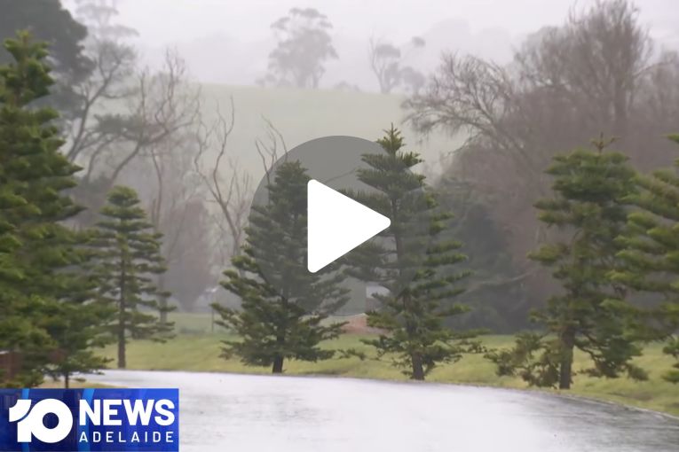 Thumbnail for VIDEO: Arrest over Ridgehaven stabbing | Wild weekend weather