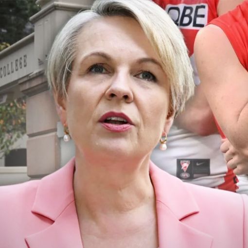 Thumbnail for Plibersek on Swans, Scots College and misogyny