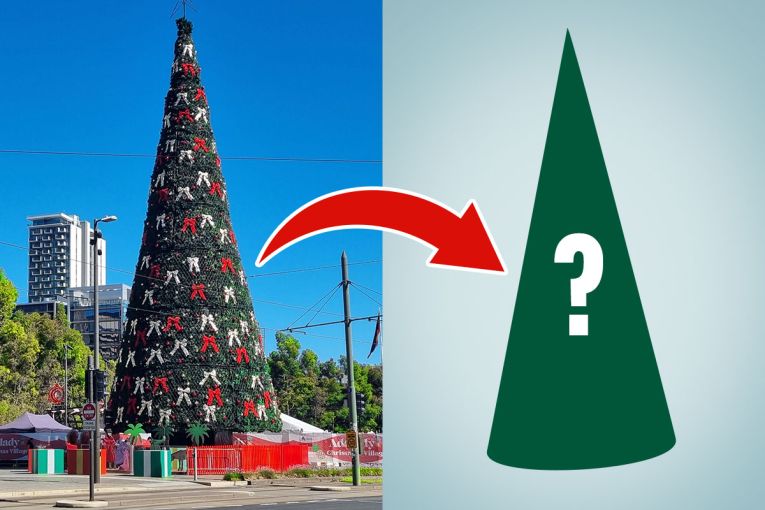 Thumbnail for City stumps up for brand new Vic Square Christmas tree