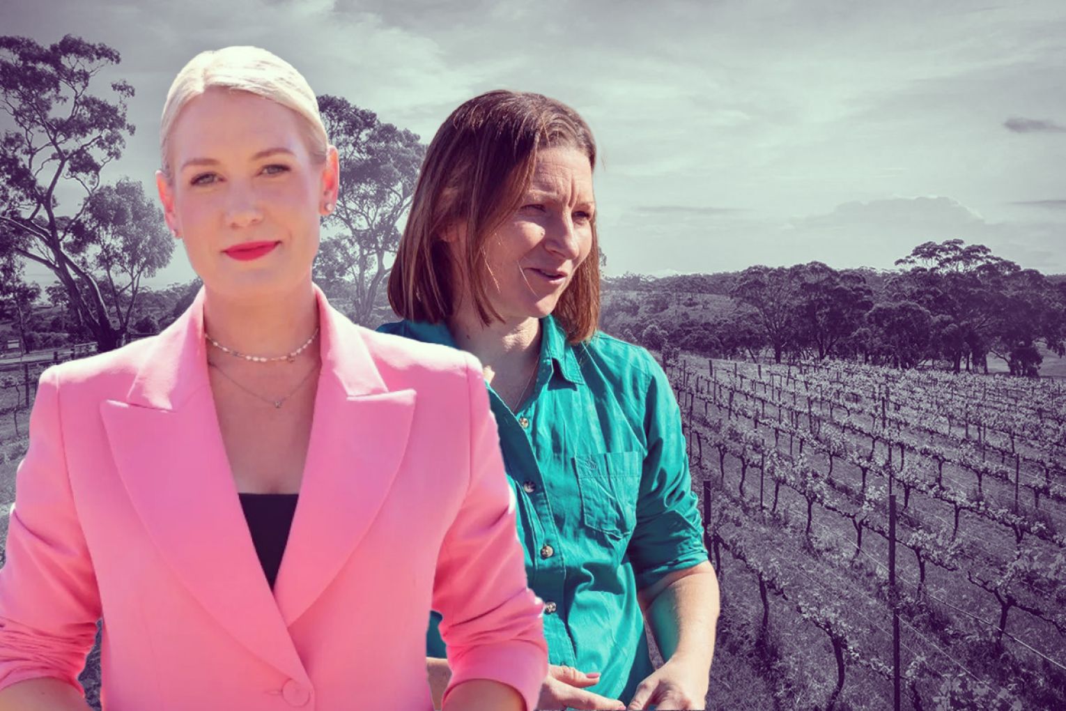 Liberal leader Ashton Hurn and Nicola Centofanti are calling for more support for grape growers.