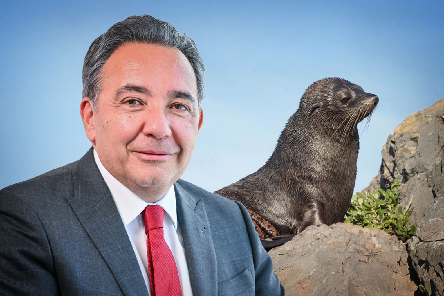 A long-nosed fur seal in South Australia has tested positive for the H5 bird flu.