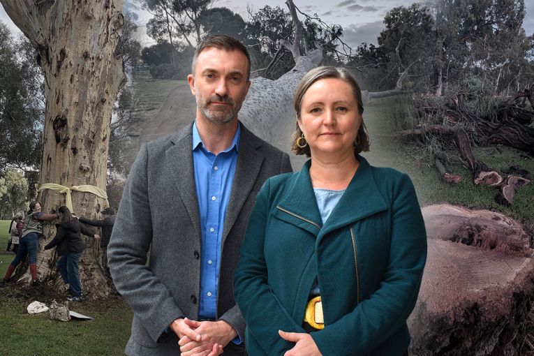 Thumbnail for Greens fear MotoGP plan continues park lands ‘chainsaw massacre’