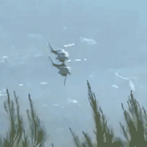 Thumbnail for Horror moment helicopters collide ‘flying towards flames’