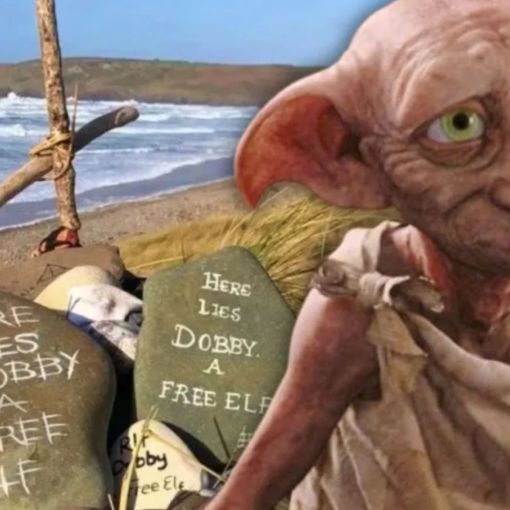 Thumbnail for Power cable re-routed to avoid Dobby’s ‘grave’