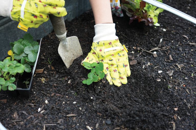 Thumbnail for Grow your kids’ green time
