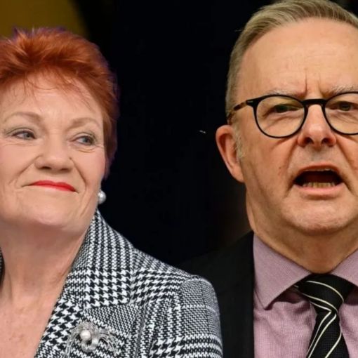 Thumbnail for ‘Dangerous’: PM takes aim at One Nation amid latest polls