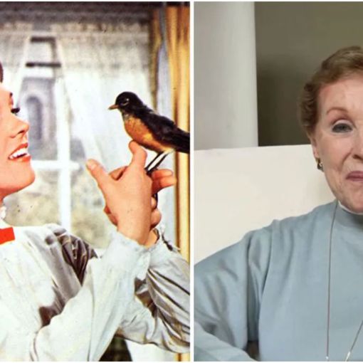Thumbnail for Dame Julie Andrews makes big screen call
