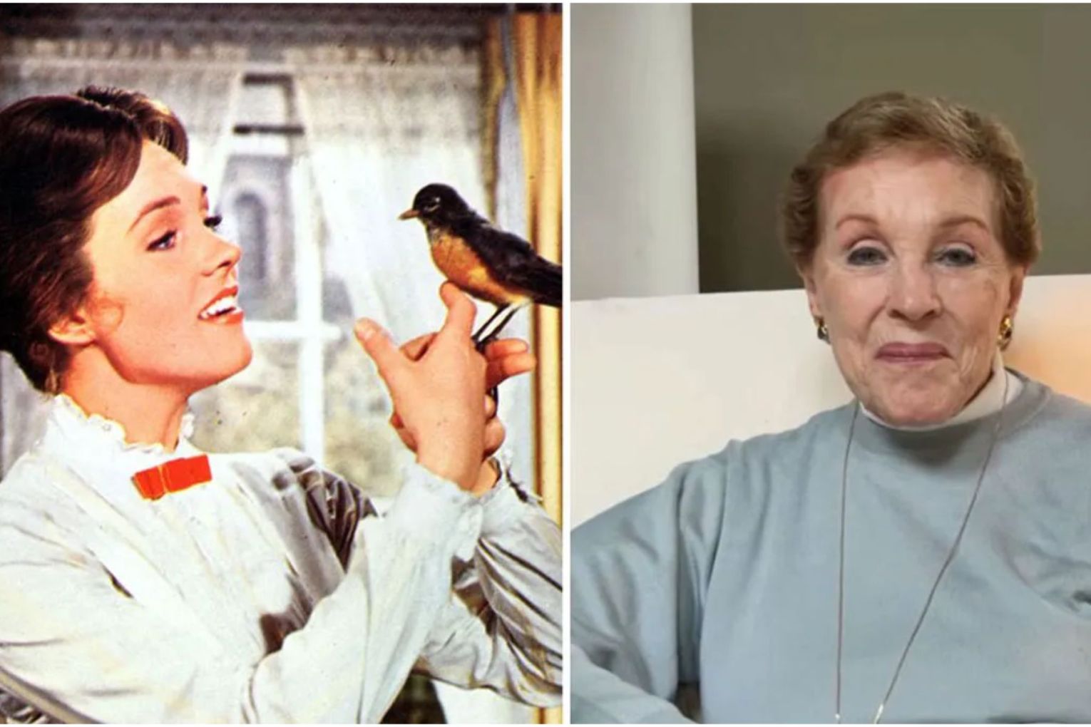 Julie Andrews won the Best Actress Oscar for Mary Poppins in 1965.