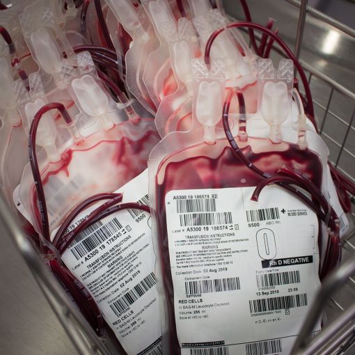Thumbnail for Urgent call for Queensland blood