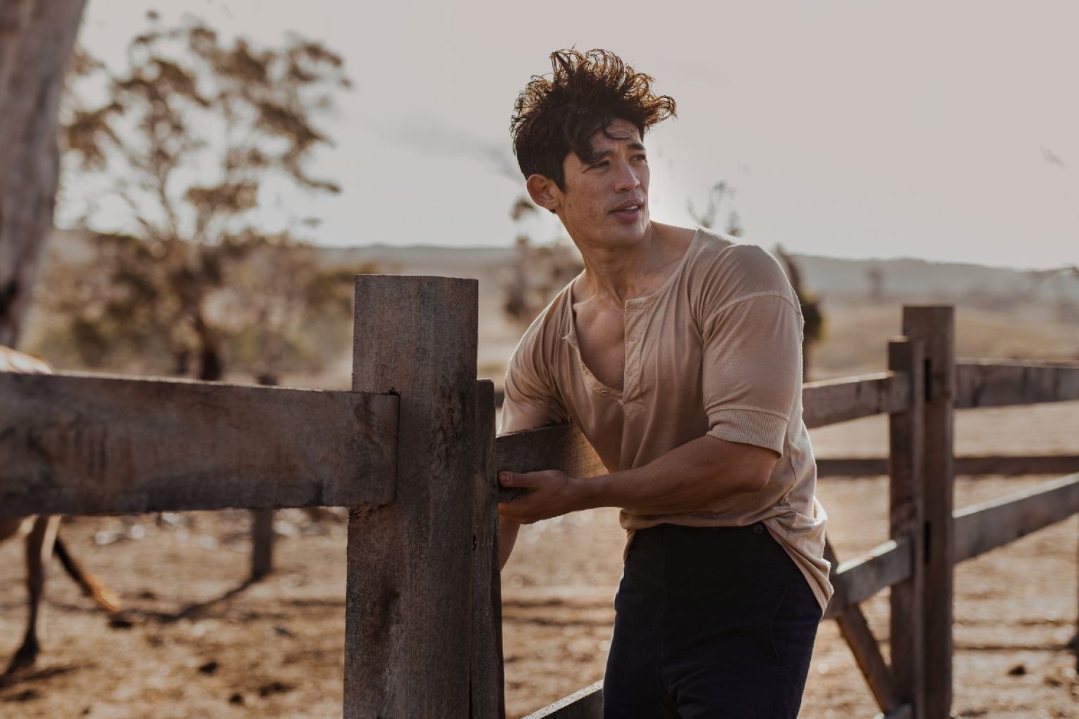 Christopher Chung stars as Harry Beecham in My Brilliant Career. Photo: Netflix
