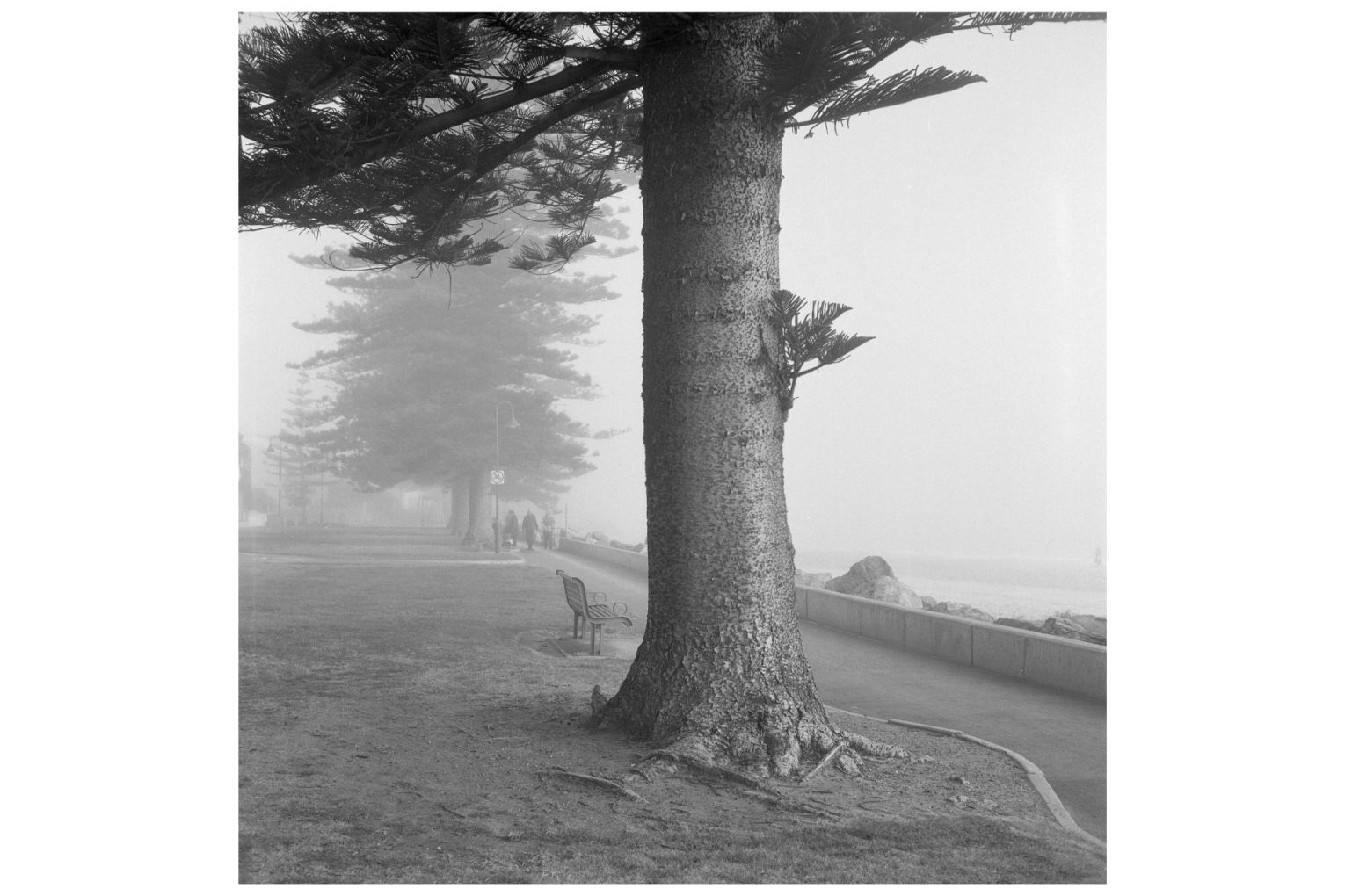 Esplanade Under Fog, 2022. Picture: Alex Frayne