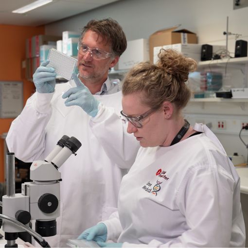 Thumbnail for Brisbane researchers create new map of the human heart