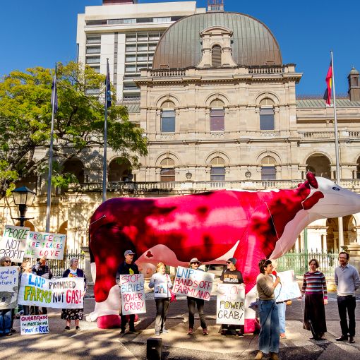 Thumbnail for Farmers protest development bill at Premier’s office