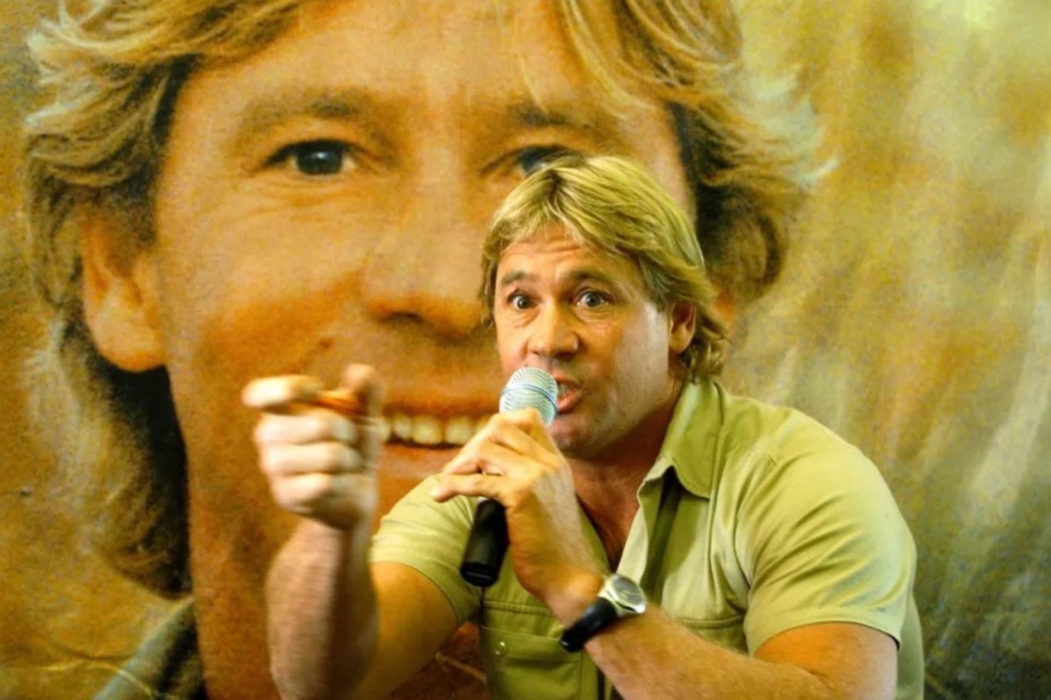 It is 20 years since the sudden death of Australia's 'Crocodile Hunter', Steve Irwin.