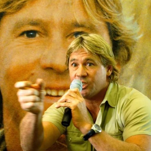 Thumbnail for ‘Gone too early’: Steve Irwin’s enduring legacy