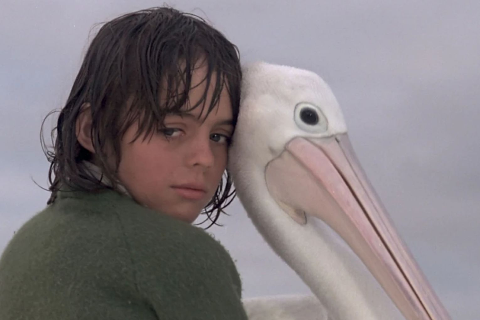 Greg Rowe with Mr Percival in the 1976 film Storm Boy.