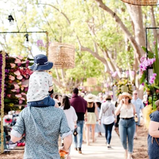 Thumbnail for Surprise centre with one of the hottest property markets in Qld