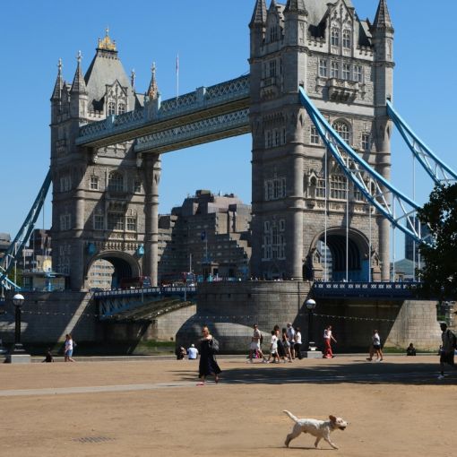 Thumbnail for Water restrictions on table as UK records hottest day of the year