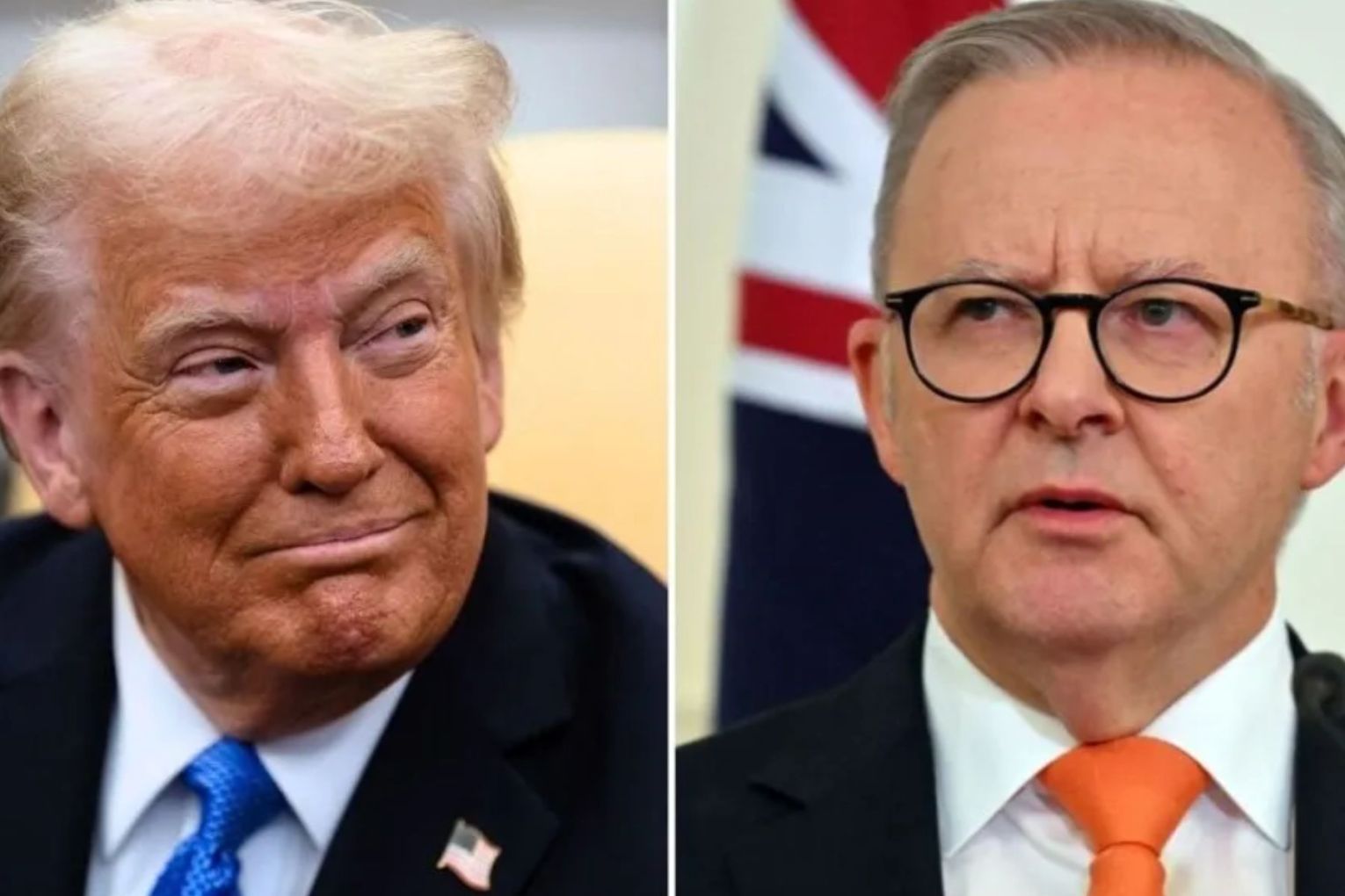 Albanese said he had a 'very warm and productive' discussion with Trump.