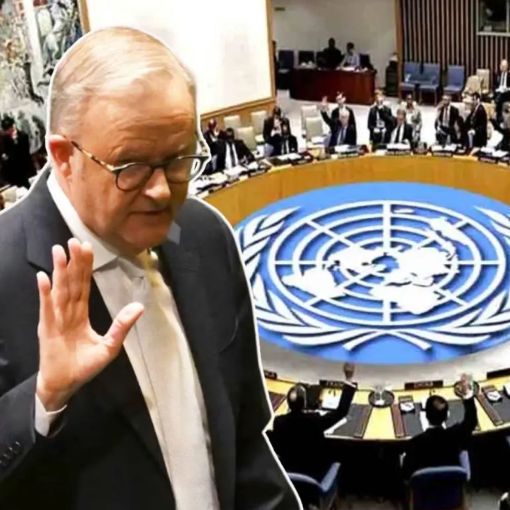 Thumbnail for Albanese to hit campaign trail – for a Security Council seat