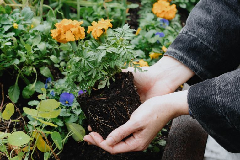 Thumbnail for Nature Festival returns with 350+ ways to get wild this spring
