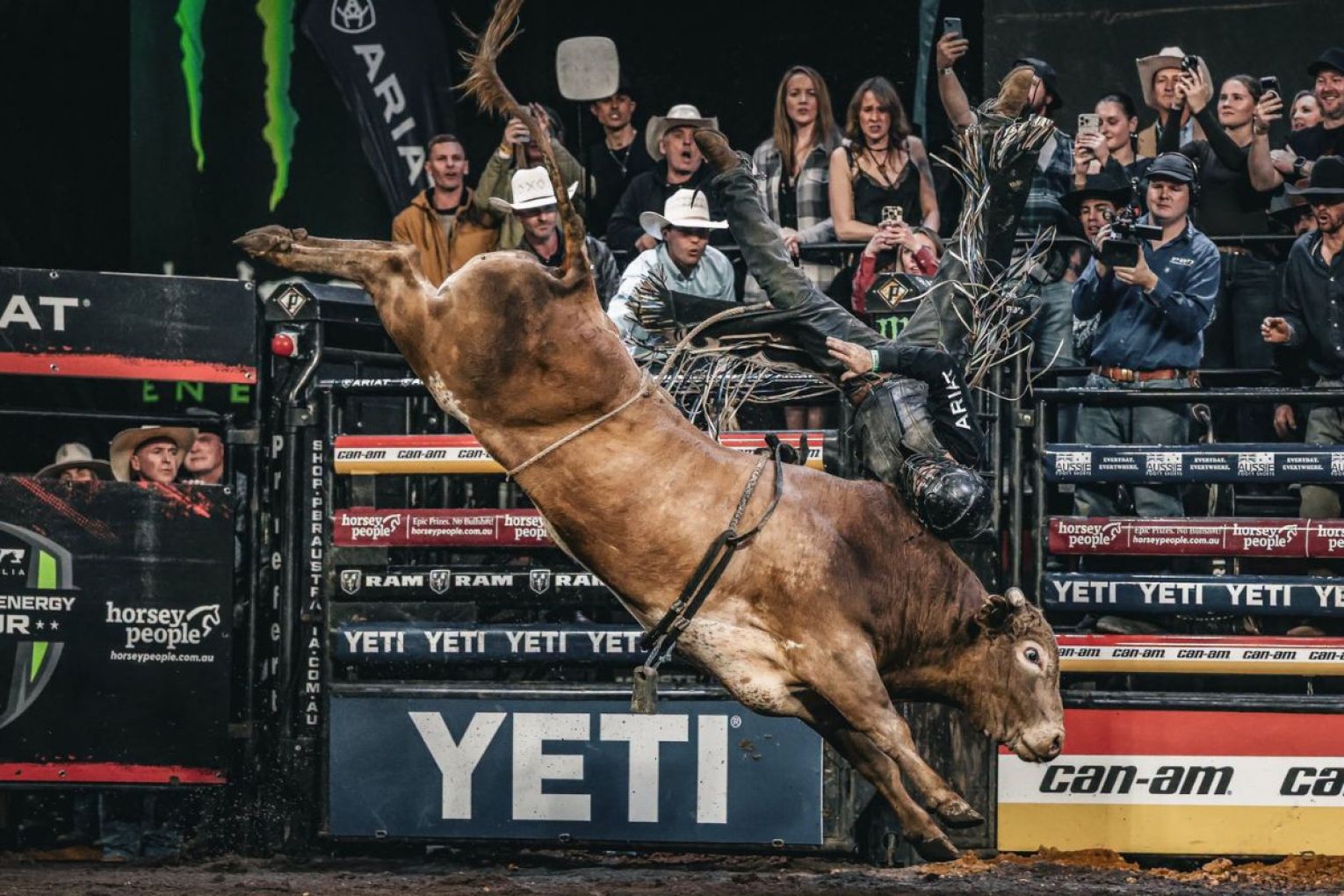 Protests are planned as a popular bull-riding event returns to Adelaide this weekend. Photo: Facebook/Professional Bull Riders Australia