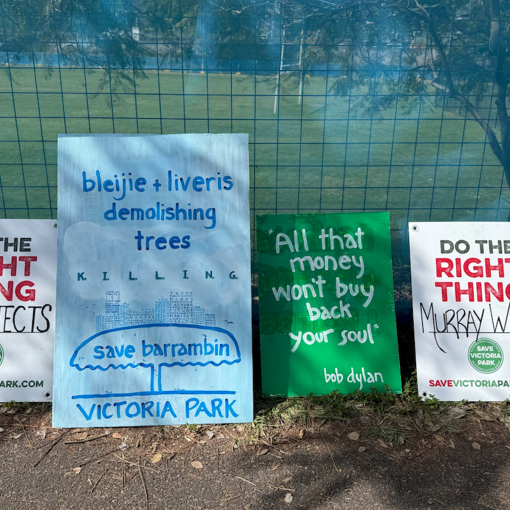 Thumbnail for Anger as tree-clearing begins at Vic Park amid public consultation