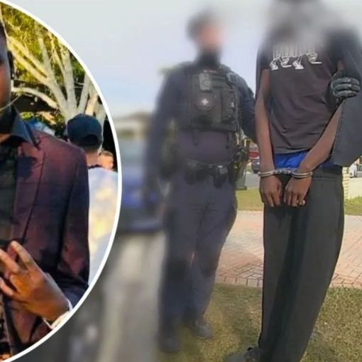 Thumbnail for Eight teens charged with murder after brawl at Airbnb party