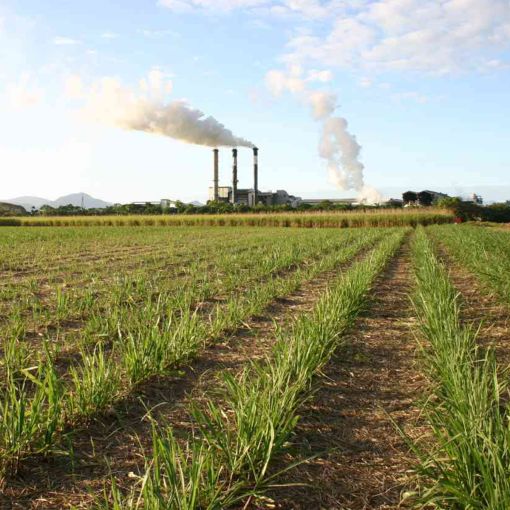 Thumbnail for Qld industry leaders come together for biofuels push