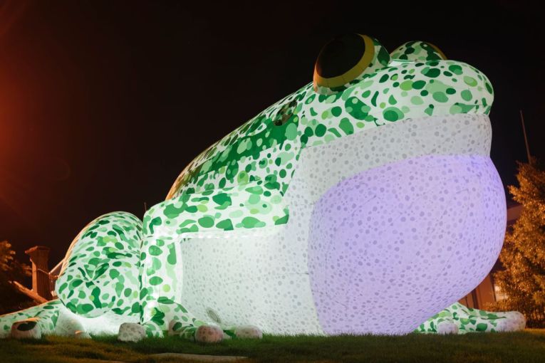 Thumbnail for Hop to it: Giant neon frogs take over Port River