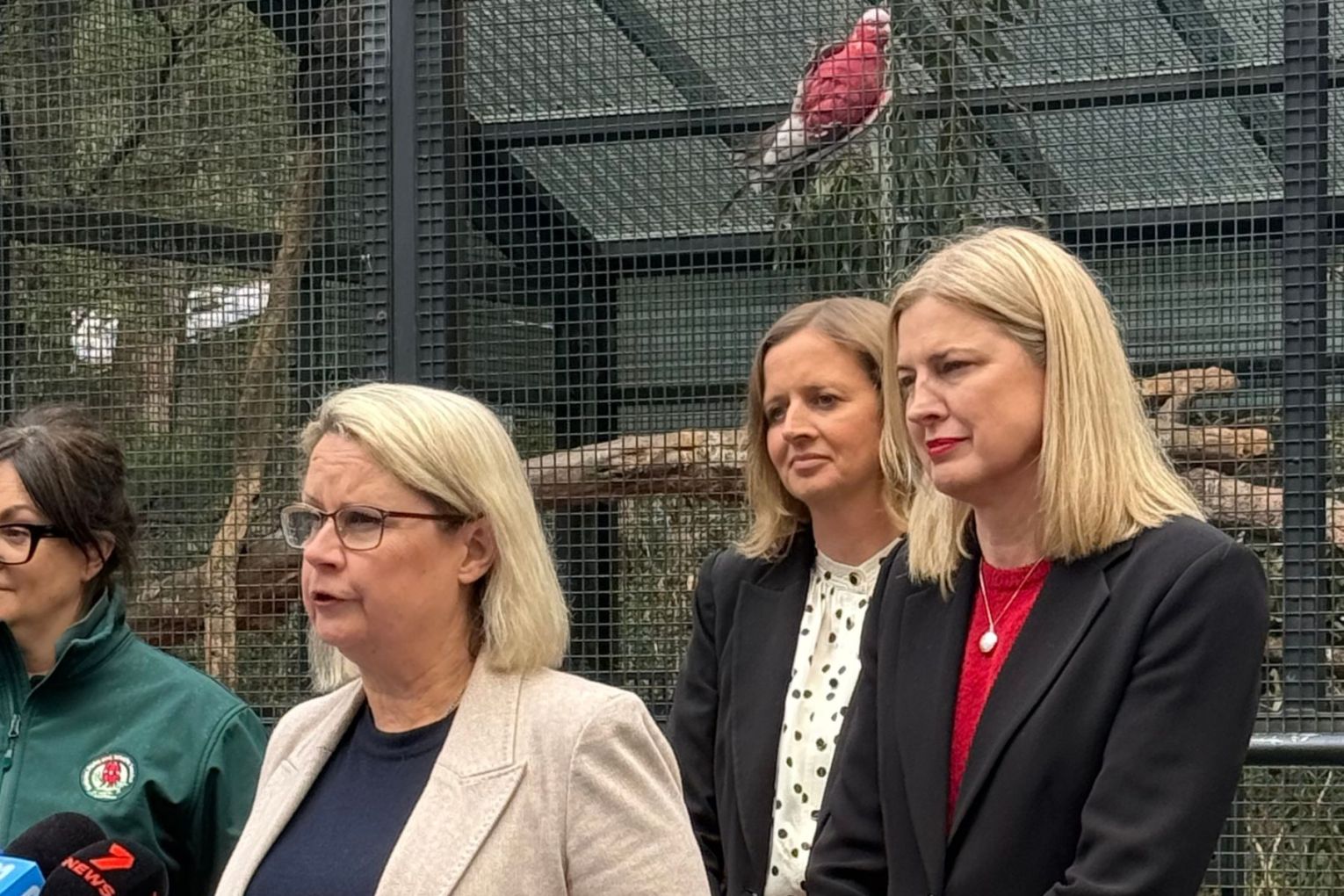 Primary Industries and Regional Development Clare Scriven, Climate, Environment and Water Minister Emily Bourke and Federal Agriculture Minister Julie Collins. Picture: Supplied