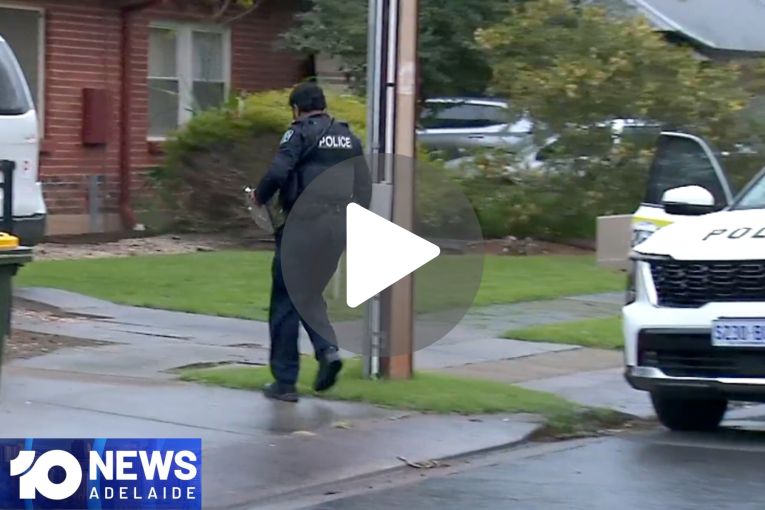 Thumbnail for VIDEO: Violent Salisbury North home invasion | Elderly man charged with assault
