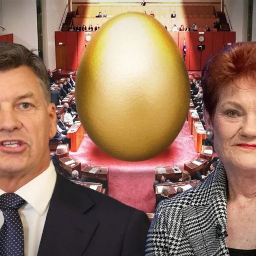 Thumbnail for Super idea? Why One Nation and the Coalition want to unlock your super