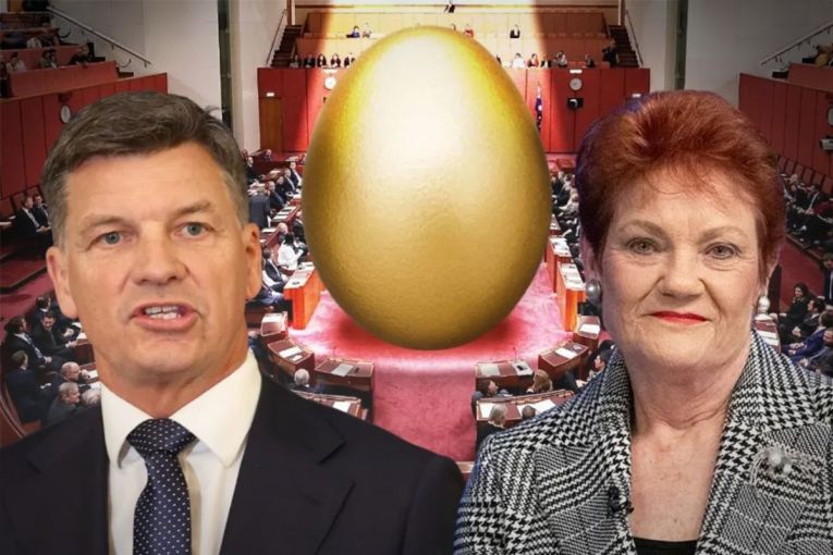 Thumbnail for Super idea? Why One Nation and the Coalition want to unlock your super