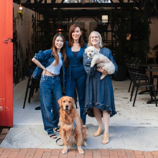 Thumbnail for Brisbane ‘dog mums’ unite in new women-only group