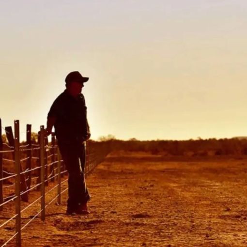 Thumbnail for What record El Niño will mean for world’s weather