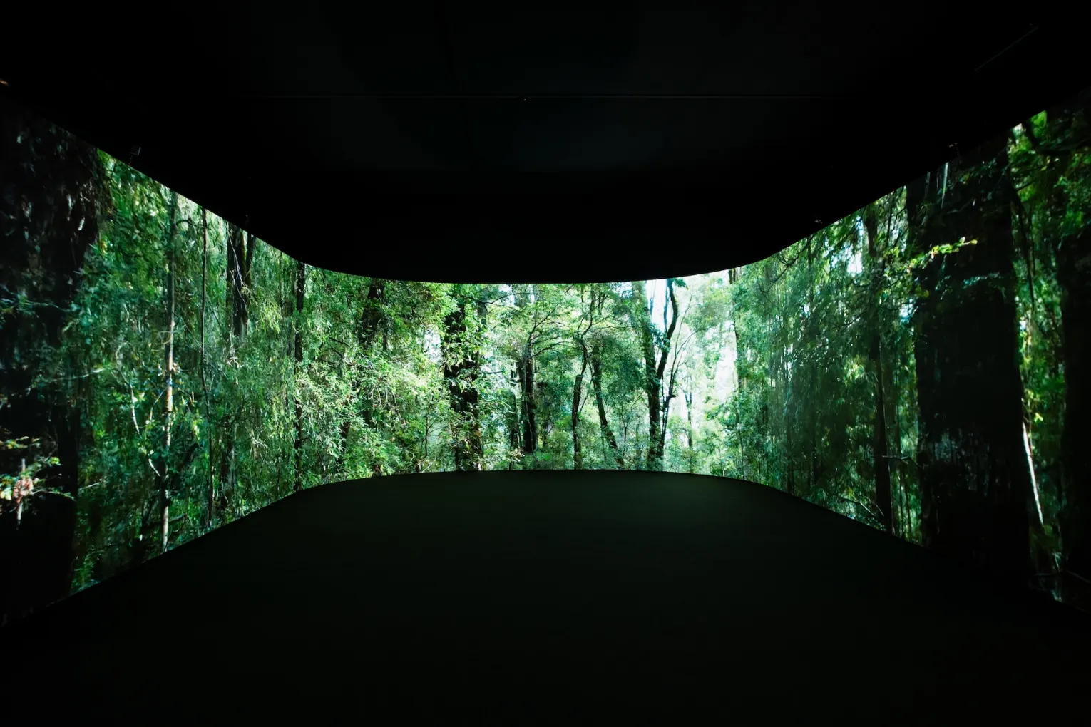 Art for Takayna exhibition at ILA. Photo: Jack Timberlake / Supplied