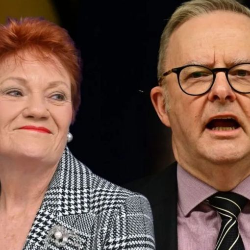 Thumbnail for ‘Out of her league’: PM defends mum after Hanson attack