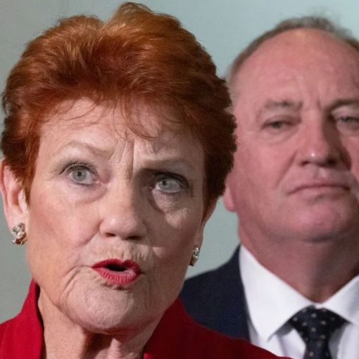 Thumbnail for One Nation dismisses ‘wrecking ball’ threat from negative migration