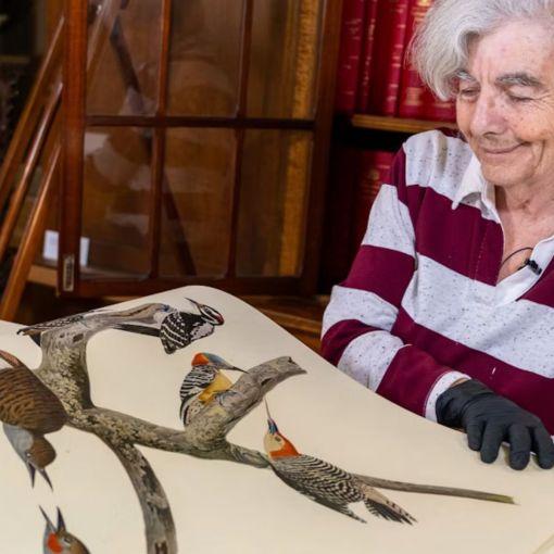 Thumbnail for Queensland rare book librarian makes top five influencers list