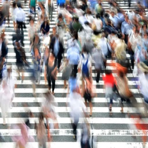Thumbnail for Migration reform is badly needed, but zero-immigration is no answer